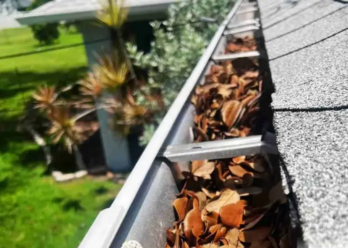 Gutter Cleaning Rougemont home page